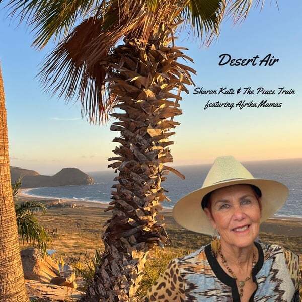 Cover art for Desert Air